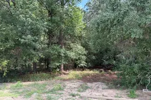 17833 SW 61st Ln Rd, Dunnellon, FL 34432 - Photo 10