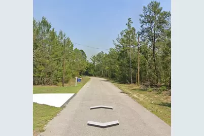 Malauka Trak, Ocklawaha, FL 32179 - Photo 4