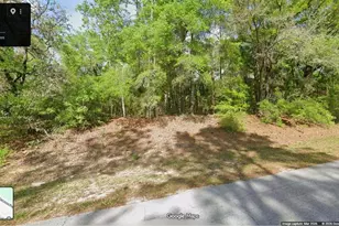 275 E Elgrove Dr, Citrus Springs, FL 34434 - Photo 1