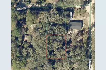 Se 96 Place, Ocklawaha, FL 32179 - Photo 1
