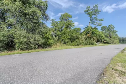 Lot 5 SW 37th, Ocala, FL 34473 - Photo 6