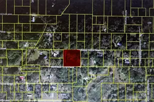 Tbd NE 163rd Pl, Citra, FL 32113 - Photo 1