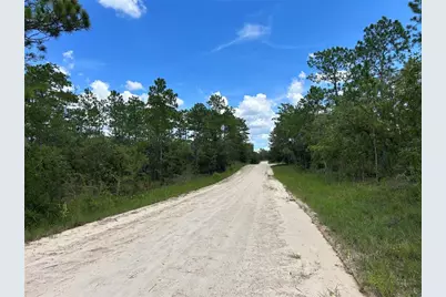 Tbd SE 26th Street, Morriston, FL 32668 - Photo 4