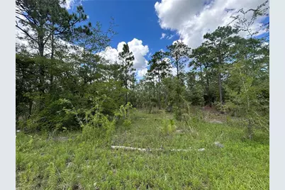 Tbd SE 26th Street, Morriston, FL 32668 - Photo 2