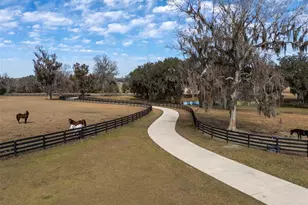 11920 SE 22nd Ave Rd, Ocala, FL 34480 - Photo 26