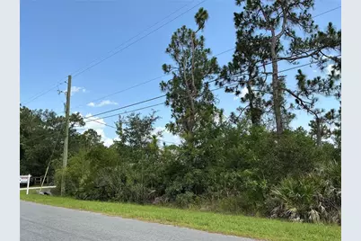 Lot 22 Peabody Street, Orlando, FL 32833 - Photo 1