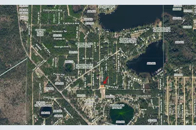 Tbd Dogwood Drive, Interlachen, FL 32148 - Photo 4