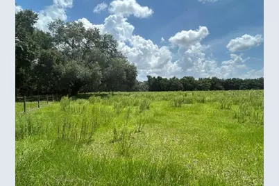 Se 34th Way, Sumterville, FL 33585 - Photo 4