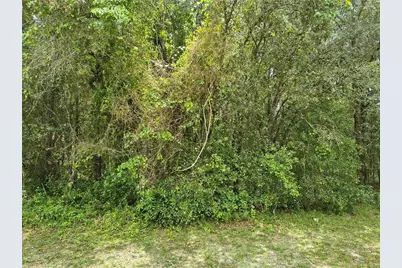 712 W Country Club Boulevard, Citrus Springs, FL 34434 - Photo 2