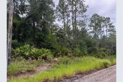175 Court, Dunnellon, FL 34432 - Photo 1