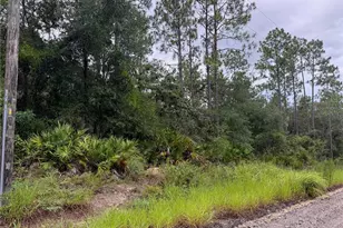 175 Ct, Dunnellon, FL 34432 - Photo 1
