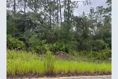 175 Court, Dunnellon, FL 34432 - Photo 2
