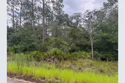 175 Court, Dunnellon, FL 34432 - Photo 4