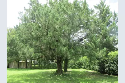 16000 N Hwy 329, Reddick, FL 32686 - Photo 28