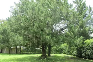 16000 N Hwy 329, Reddick, FL 32686 - Photo 28