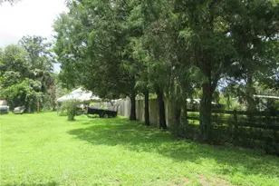 16000 N Hwy 329, Reddick, FL 32686 - Photo 30