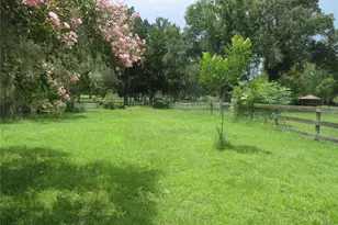 16000 N Hwy 329, Reddick, FL 32686 - Photo 34