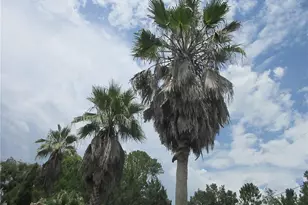 16000 N Hwy 329, Reddick, FL 32686 - Photo 24