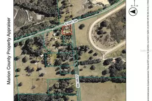 16000 N Hwy 329, Reddick, FL 32686 - Photo 88