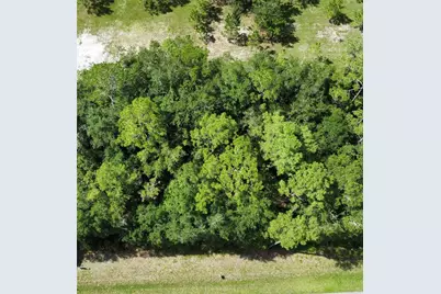 Tbd NE 225th Street, Fort Mc Coy, FL 32134 - Photo 2
