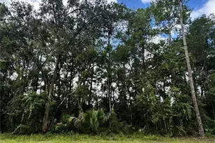 Tbd NE 225th St, Fort Mc Coy, FL 32134 - Photo 1