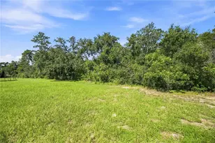 2824 SW 161st Loop, Ocala, FL 34473 - Photo 14
