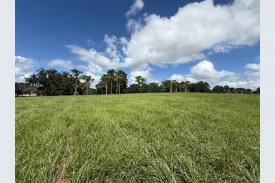 Tbd Hwy 329, Reddick, FL 32686 - Photo 10
