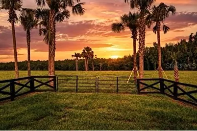 Tbd Hwy 329, Reddick, FL 32686 - Photo 1