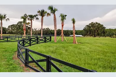 Tbd Hwy 329, Reddick, FL 32686 - Photo 8