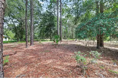 0 SW 82 Street, Dunnellon, FL 34431 - Photo 2