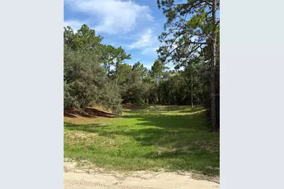 12640 SW 76th Lane, Dunnellon, FL 34432 - Photo 4