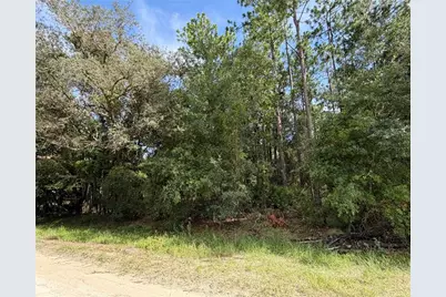 12640 SW 76th Lane, Dunnellon, FL 34432 - Photo 6