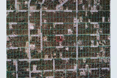 12640 SW 76th Lane, Dunnellon, FL 34432 - Photo 8