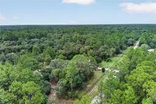 389 SW Big Tree Rd, Dunnellon, FL 34431 - Photo 44