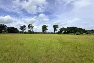 N Hwy 441, Citra, FL 32113 - Photo 1