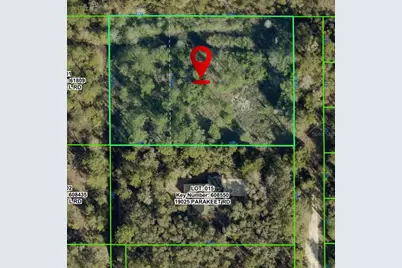 19037 Parakeet Road, Brooksville, FL 34614 - Photo 2