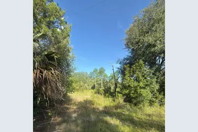 19037 Parakeet Road, Brooksville, FL 34614 - Photo 1