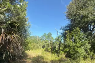 19037 Parakeet Rd, Brooksville, FL 34614 - Photo 1