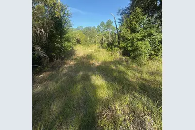 19037 Parakeet Road, Brooksville, FL 34614 - Photo 4