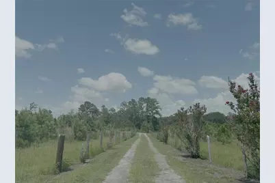 6350 NE 86 Avenue, Bronson, FL 32621 - Photo 22