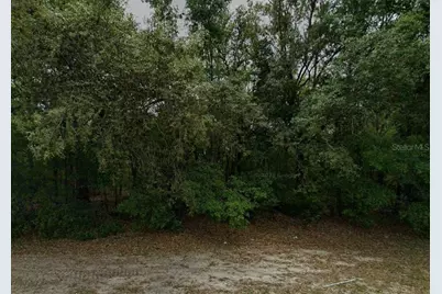 588 W Anderson Lane, Citrus Springs, FL 34434 - Photo 2