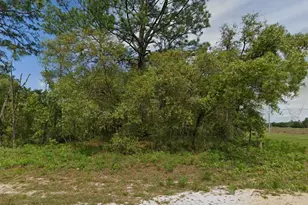 6895 N Varsity Ave, Citrus Springs, FL 34434 - Photo 1