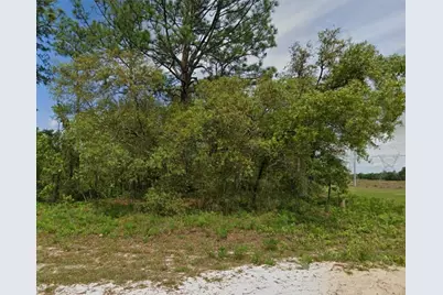 6895 N Varsity Avenue, Citrus Springs, FL 34434 - Photo 2