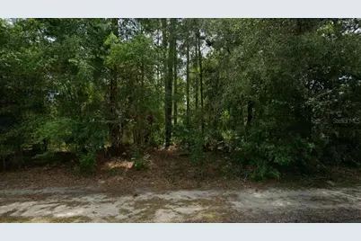 660 W Anderson Lane, Citrus Springs, FL 34434 - Photo 2