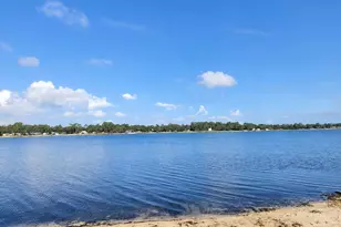 22348 NE 112th Terrace, Fort Mc Coy, FL 32134 - Photo 34