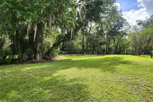 22348 NE 112th Terrace, Fort Mc Coy, FL 32134 - Photo 38