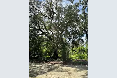 Lot 28 SW 109 Lane, Dunnellon, FL 34432 - Photo 1
