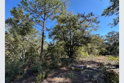 Tbd NE 86th Street, Bronson, FL 32621 - Photo 4