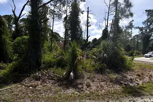 Laskin Ave, North Port, FL 34291 - Photo 1