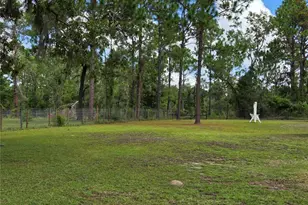 750 NE 131st Terrace, Williston, FL 32696 - Photo 40